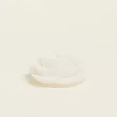 0628114f-f8be-47a4-b930-ef8f38ba7f49_1-1781847152-g5CZ0v