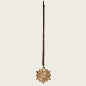 Beauty Home ФЕНЕР ЗА ВЪТРЕШНО ПОМЕЩЕНИЕ ЗВЕЗДА 19 CM С LED