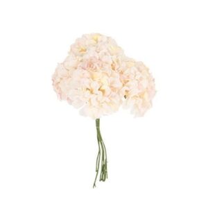 Beauty Home 6 ХОРТЕНЗИИ 10cm