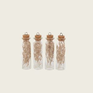 Beauty Home СТЪКЛЕН ТУБУС С ИЗСУШЕН МИНИ ПАМПАС КОМПЛЕКТ 4 БР. 8 x 2 cm