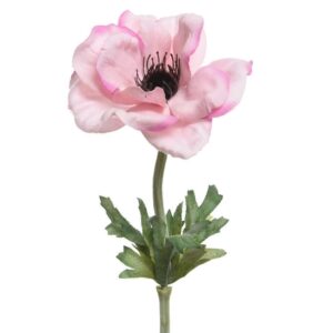 Beauty Home Анемона 57 CM