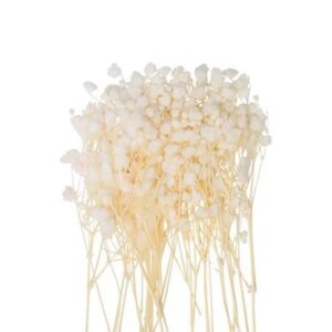 Beauty Home MINI гипсофила 20 бр. 5 CM