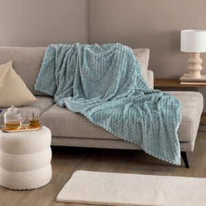 Одеяло Fleece 160x220 ASTER JADE