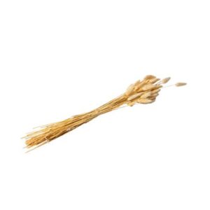 Beauty Home Изсушен букет LAGURUS 70 CM