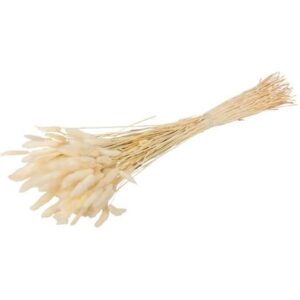 Beauty Home Котешки лапички LAGURUS екрю 75CM 50 бр.