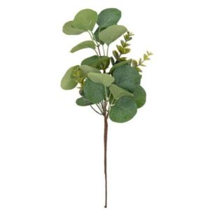 Beauty Home Евкалипт 35 CM