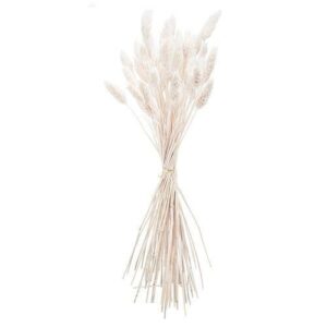 Beauty Home букет Phalaris естествена 60cm – 50 бр.