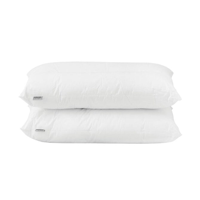 Anatomic-1781774946-OU2oSZ