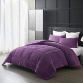 Cassiano-Purple-2-1781008276-gr3mWU