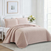 Glenda-Rose-3-1780993651-dCIiMo