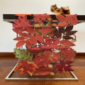 P60_2_FQ45485_red_leaf-1781054098-QccFDA