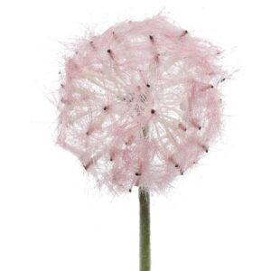 Beauty Home ЦВЕТЕ 50 CM