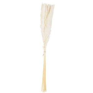 Beauty Home 15 клона бели пера 70 cm