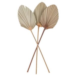 Beauty Home ЛИСТА ОТ ПАЛМА КОМПЛЕКТ 3 БР. 60 x 15 cm