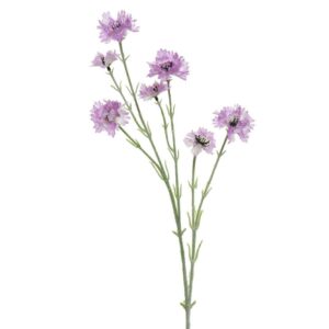 Beauty Home ЦВЕТЕ 68 CM