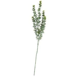 Beauty Home БУКЕТ ЕВКАЛИПТ 83 CM