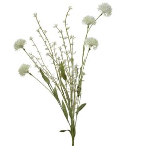 Beauty Home АЛИУМ МИНИ