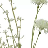 e4f5d3ff-120a-4f17-a2e6-f33660d9f63c_1-1781792909-uHOiXb