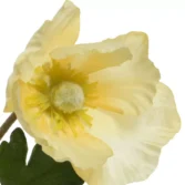 f436c25d-cc76-4170-bf0d-d186dd8f29ff_1-1781796611-xrAbY4