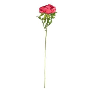 Beauty Home Декоративен клон божур фуксия и зелен 56x10cm