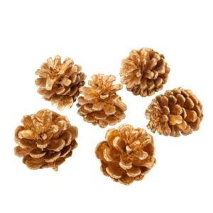 Beauty Home 6 шишарки мат злато около 5 cm