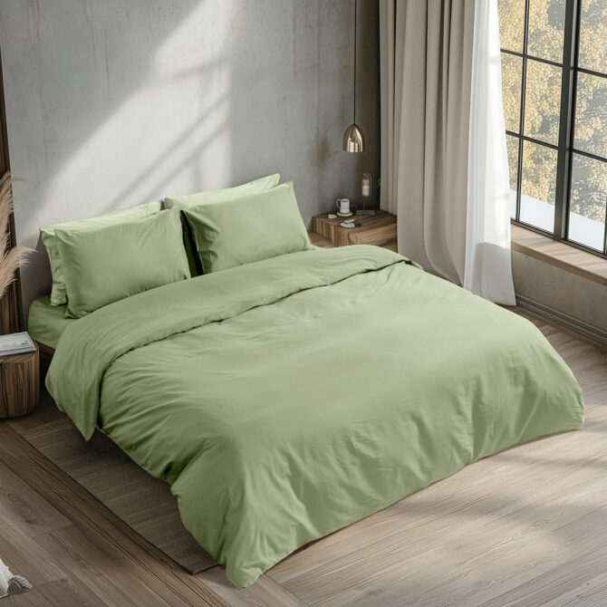 1230_olive-1783622443-ON6aqS
