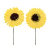 1ae66aae-8aa7-42d5-8990-2d837abeb61e-1783028200-TcBUU1