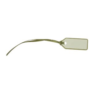 Beauty Home 10 Етикети Хартиени с панделка – Зелено евкалипт 5 x 2 cm