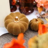 7dee3e18-8260-481a-8f48-65188c4d305a_1-1783003960-wOxsKs