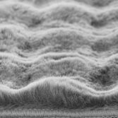 9649_zoom2-1783009775-BikJ9P