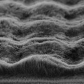 9650_zoom2-1783009887-oRKkzE