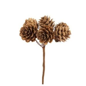 Beauty Home 6 Естествени Шишарки на Клонче 11 cm