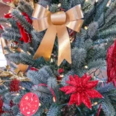 d99fe3d2-06eb-4160-ab27-856b4892fdb0_1-1783004495-I2YeEL