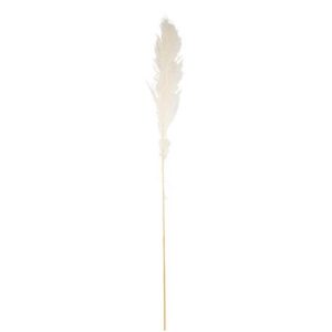 Beauty Home Изсушен клон Pampas Екрю 1,25 – 1,35 m